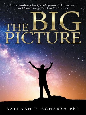 cover image of The Big Picture